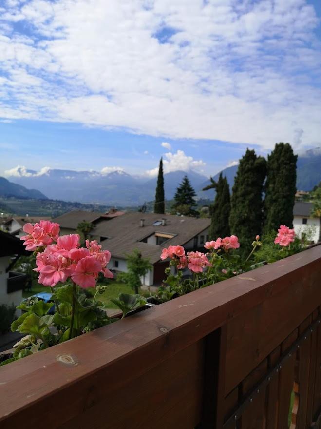 Pension Kleon Rifiano Exterior photo