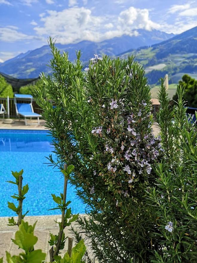 Pension Kleon Rifiano Exterior photo