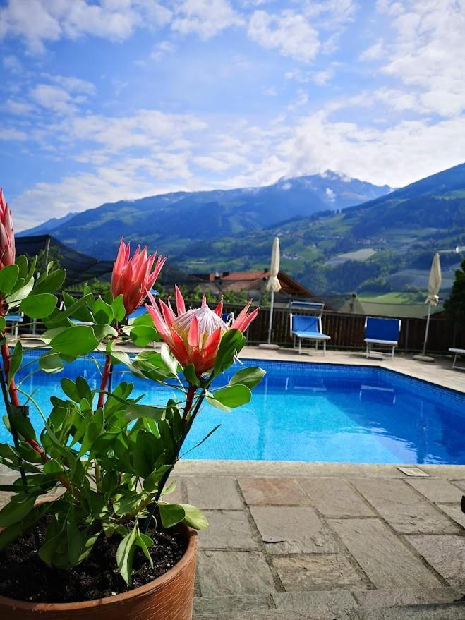Pension Kleon Rifiano Exterior photo